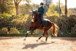 LeMieux Loire Fly Hood -Equestrian Supplies Online Shop 00007063W 2 405160059