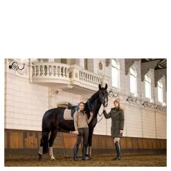 BR Tendon Boots Majestic Dion -Equestrian Supplies Online Shop 00007090W 3 312052019