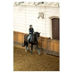 BR Over Reach Boots Dion 9 BR Over Reach Boots Dion -Equestrian Supplies Online Shop 00007092W 2 314080041