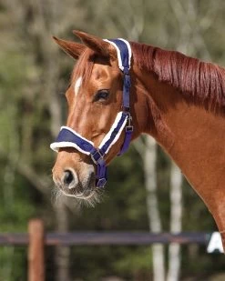 QHP Head Collar Classy -Equestrian Supplies Online Shop 00007140W 3 301079233