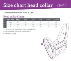QHP Head Collar Classy -Equestrian Supplies Online Shop 00007140W 4 301050164