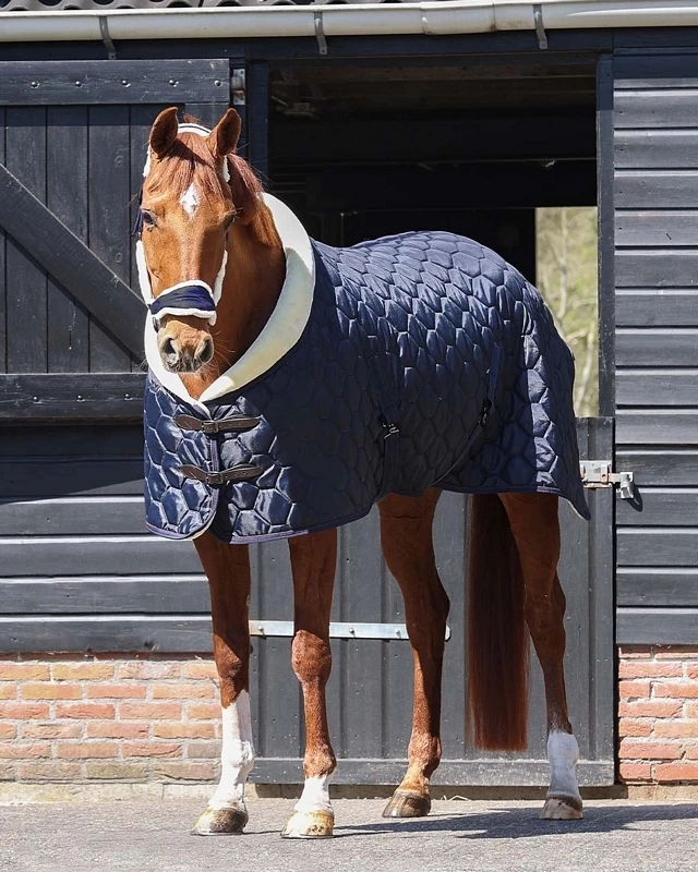 QHP Stable Rug Classy 7 QHP Stable Rug Classy - Image 7