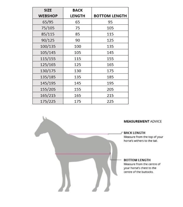 QHP Stable Rug Classy 8 QHP Stable Rug Classy - Image 8