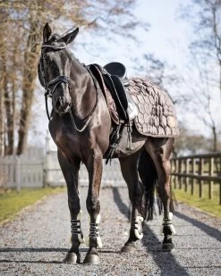 QHP Quarter Rug Classy -Equestrian Supplies Online Shop 00007143W 3 404050010