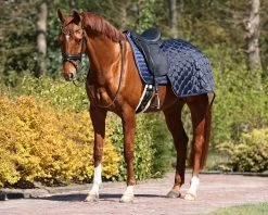 QHP Quarter Rug Classy -Equestrian Supplies Online Shop 00007143W 4 404079040
