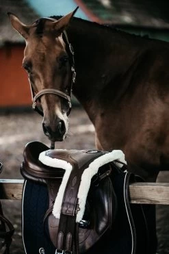 Kentucky Horsewear Kentucky Sheepskin Stud Girth Special -Equestrian Supplies Online Shop 215050030000W 4 215050030