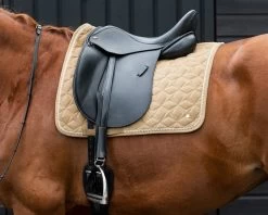 QHP Saddle Pad Orlando 6 QHP Saddle Pad Orlando -Equestrian Supplies Online Shop 218052090000W 3 218052090