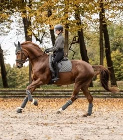 Waldhausen Saddlepad Nepal -Equestrian Supplies Online Shop 218080358000W 4 218080358