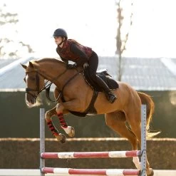 Mrs Ros Iconic Close Contact Jump Saddle Pad -Equestrian Supplies Online Shop 218090493000W 3 218090493
