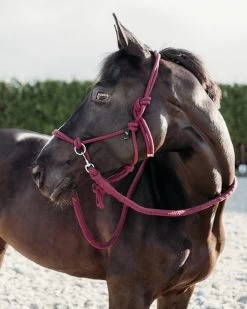 QHP Rope Halter With Rein -Equestrian Supplies Online Shop 301034042000W 3 301034042