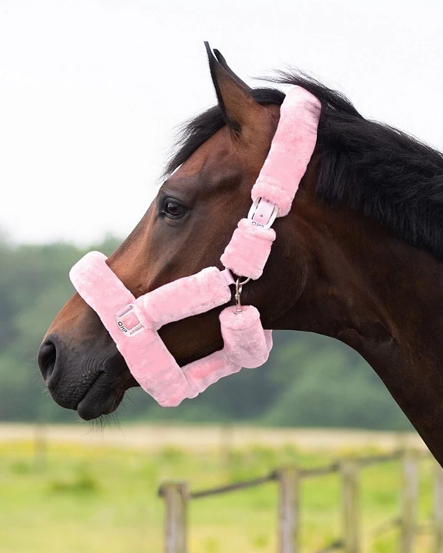 QHP Head Collar Alaska 3 QHP Head Collar Alaska - Image 3