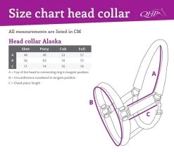 QHP Head Collar Alaska 7 QHP Head Collar Alaska -Equestrian Supplies Online Shop 301035108000W 4 301035108