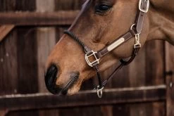 Kentucky Horsewear Kentucky Leather Rope Halter -Equestrian Supplies Online Shop 301050125000W 3 301050125