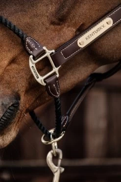 Kentucky Horsewear Kentucky Leather Rope Halter -Equestrian Supplies Online Shop 301050125000W 4 301050125