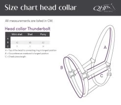QHP Rope Halter With Reins Thunderbolt -Equestrian Supplies Online Shop 301070322000W 4 301070322