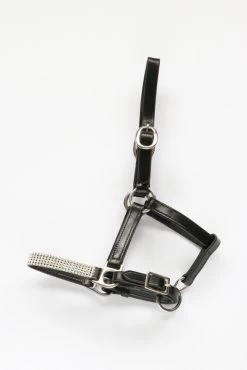 HB Leather Halter Foal With Crystalls