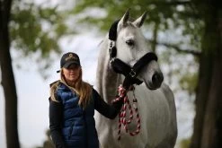 Kentucky Horsewear Kentucky Sheepskin Halter -Equestrian Supplies Online Shop 301090238000W 3 301090238
