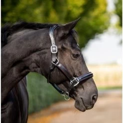 HB Showtime Halter Glitter