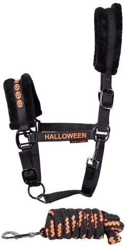 Harry's Horse Headcollar And Lead Halloween