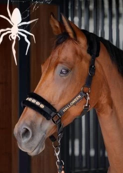 Harry's Horse Headcollar And Lead Halloween -Equestrian Supplies Online Shop 301090448000W 3 301090448