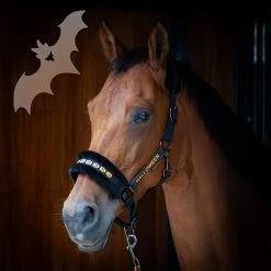 Harry's Horse Headcollar And Lead Halloween -Equestrian Supplies Online Shop 301090448000W 4 301090448