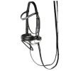 Harry's Horse Bridle Allegro