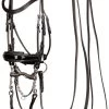 Harry's Horse Double Bridle Grand Prix