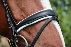 Döbert Bridle Stallmeister Zoutelande -Equestrian Supplies Online Shop 302090529000W 3 302090529