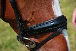 Döbert Bridle Classic Florence -Equestrian Supplies Online Shop 302090586000W 3 302090586