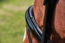Döbert Bridle Classic Florence -Equestrian Supplies Online Shop 302090586000W 4 302090586