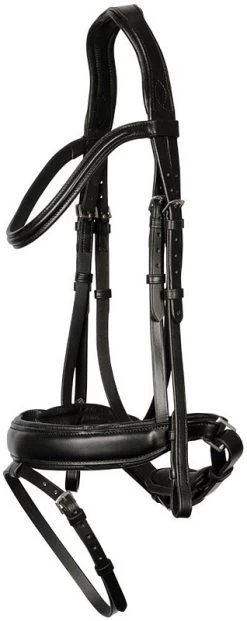 Harry's Horse Bridle Foramen Free