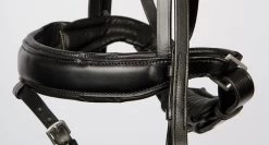 Harry's Horse Bridle Foramen Free -Equestrian Supplies Online Shop 302090624000W 3 302090624