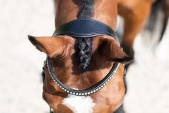 DKR Sports Bridle Baltimore -Equestrian Supplies Online Shop 302090634000W 3 302090634