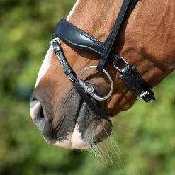 DKR Sports Bridle Baltimore -Equestrian Supplies Online Shop 302090634000W 4 302090634