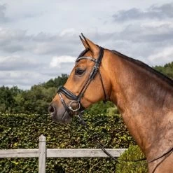 Dyon Dressage Round Leather Bridle Matte Medium