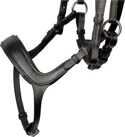 Harry's Horse Bridle Comfort -Equestrian Supplies Online Shop 302090646000W 3 302090646