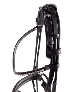 QHP Bridle Cyrelle -Equestrian Supplies Online Shop 302090668000W 4 302090668