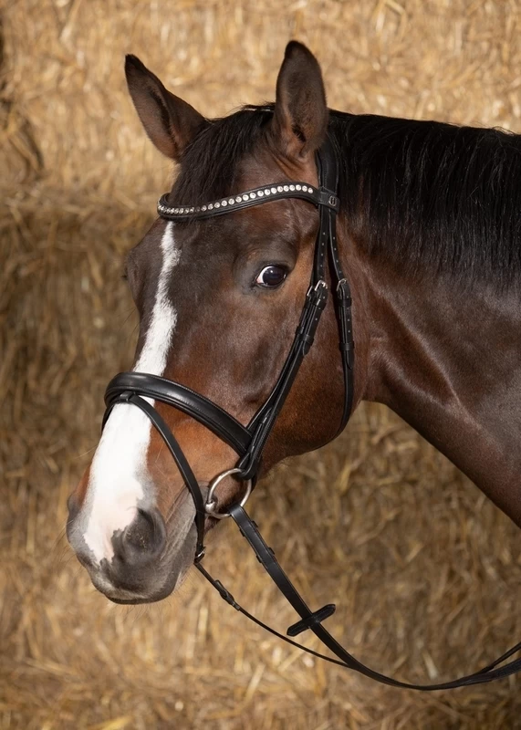 Harry's Horse Bridle Nero Soft 4 Harry's Horse Bridle Nero Soft - Image 4