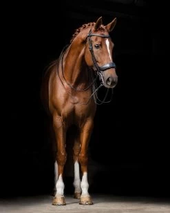 PresTeq Weymouth Bridle FayPerform -Equestrian Supplies Online Shop 302090691000W 3 302090691