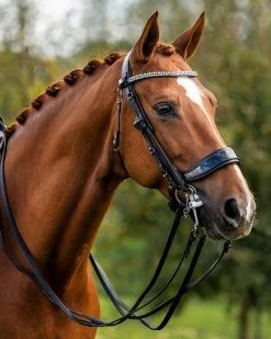 PresTeq Weymouth Bridle FayPerform Shine -Equestrian Supplies Online Shop 302090692000W 3 302090692