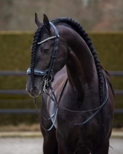 PresTeq Weymouth Bridle FayPerform Shine -Equestrian Supplies Online Shop 302090692000W 4 302090692