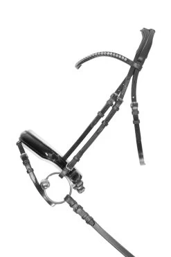 Döbert Bridle Classic Berlin -Equestrian Supplies Online Shop 302091048000W 4 302091048