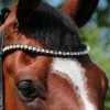 Döbert Browband Crystal Pearl