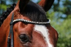 Döbert Browband Crystal Pearl