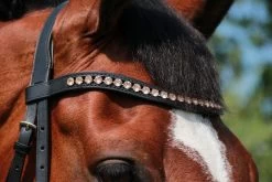 Döbert Browband Crystal Rosegold