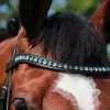 Döbert Browband Crystal Aquamarine