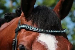Döbert Browband Crystal Aquamarine