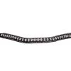 PresTeq Browband FaySport Glitter