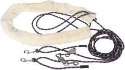 Harry's Horse Lunging System