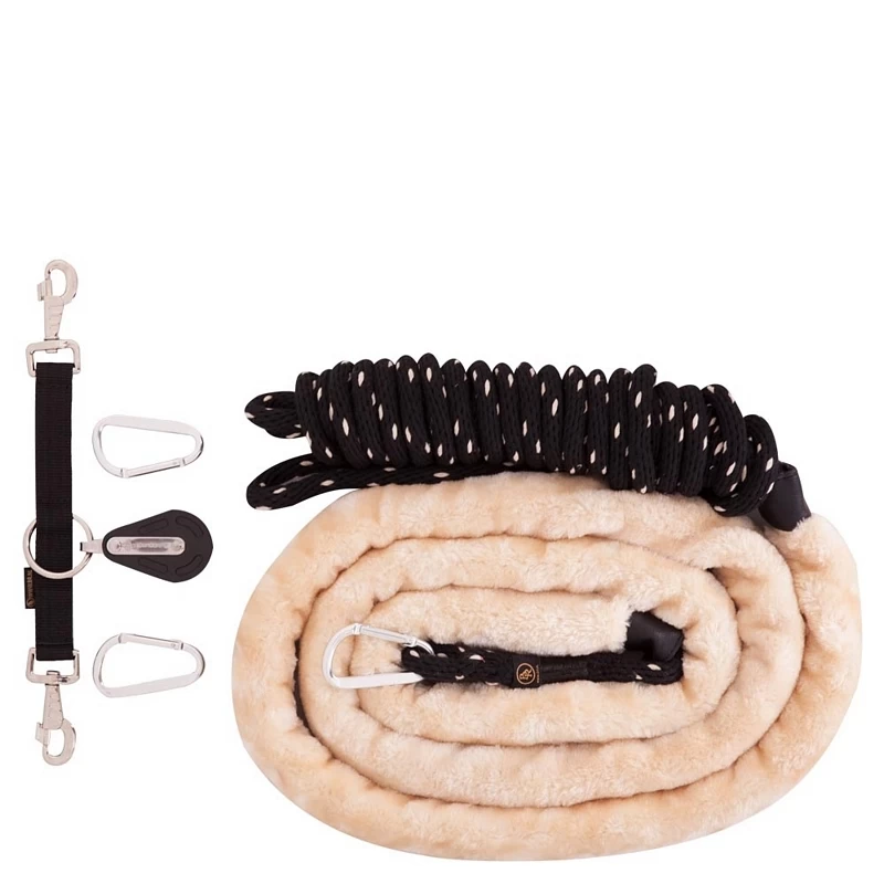 BR Longiermethode ConCord Longe 1 BR Longiermethode ConCord Longe